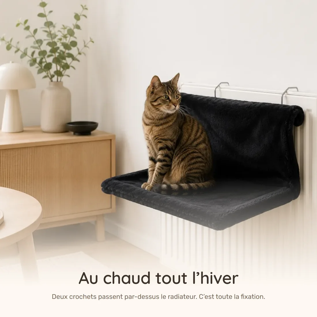 Warm all winter — the black radiator hammock hanging from its two hooks, a tabby cat sitting on it