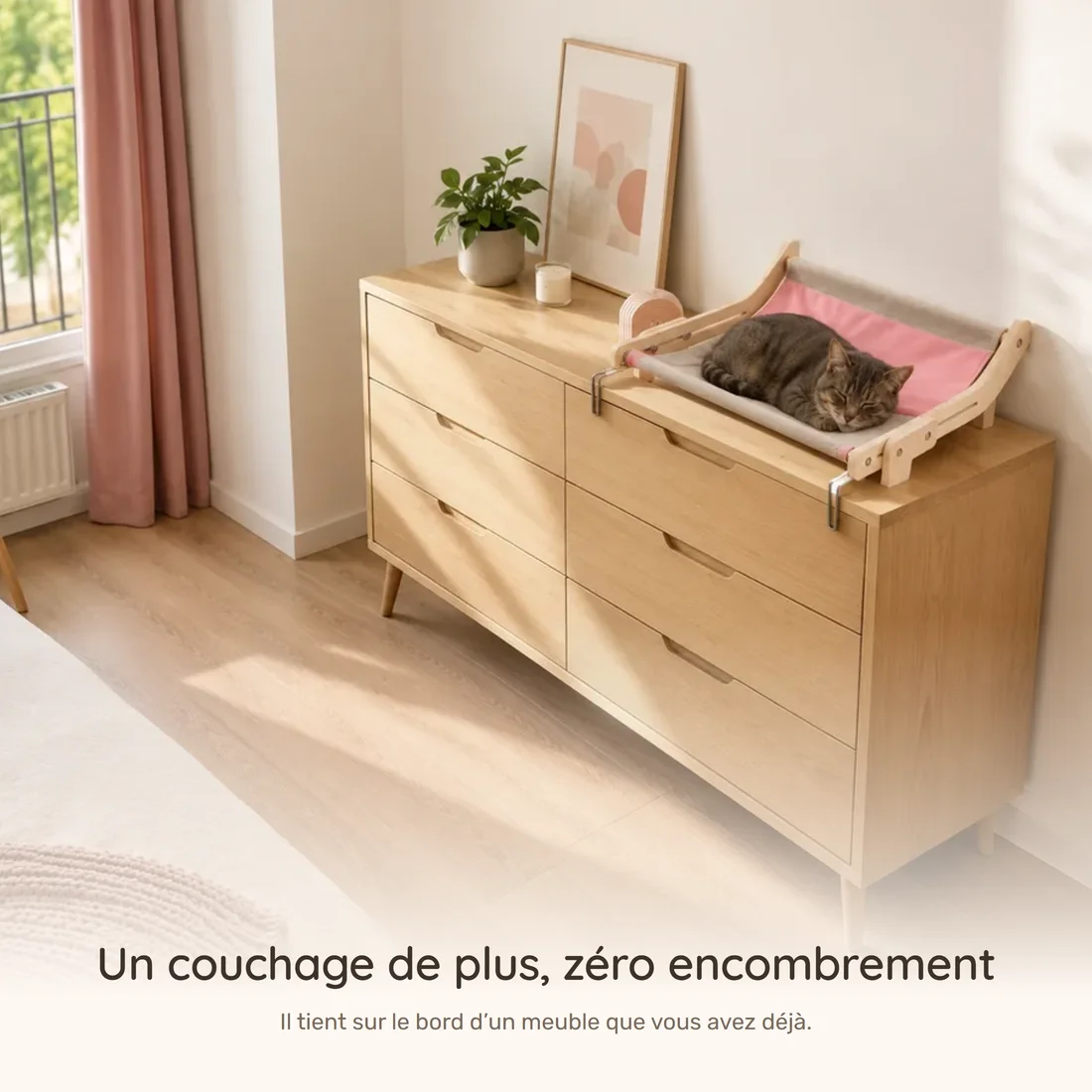 One more bed, no footprint — the wooden frame hammock clamped to a dresser, a cat asleep, the floor clear