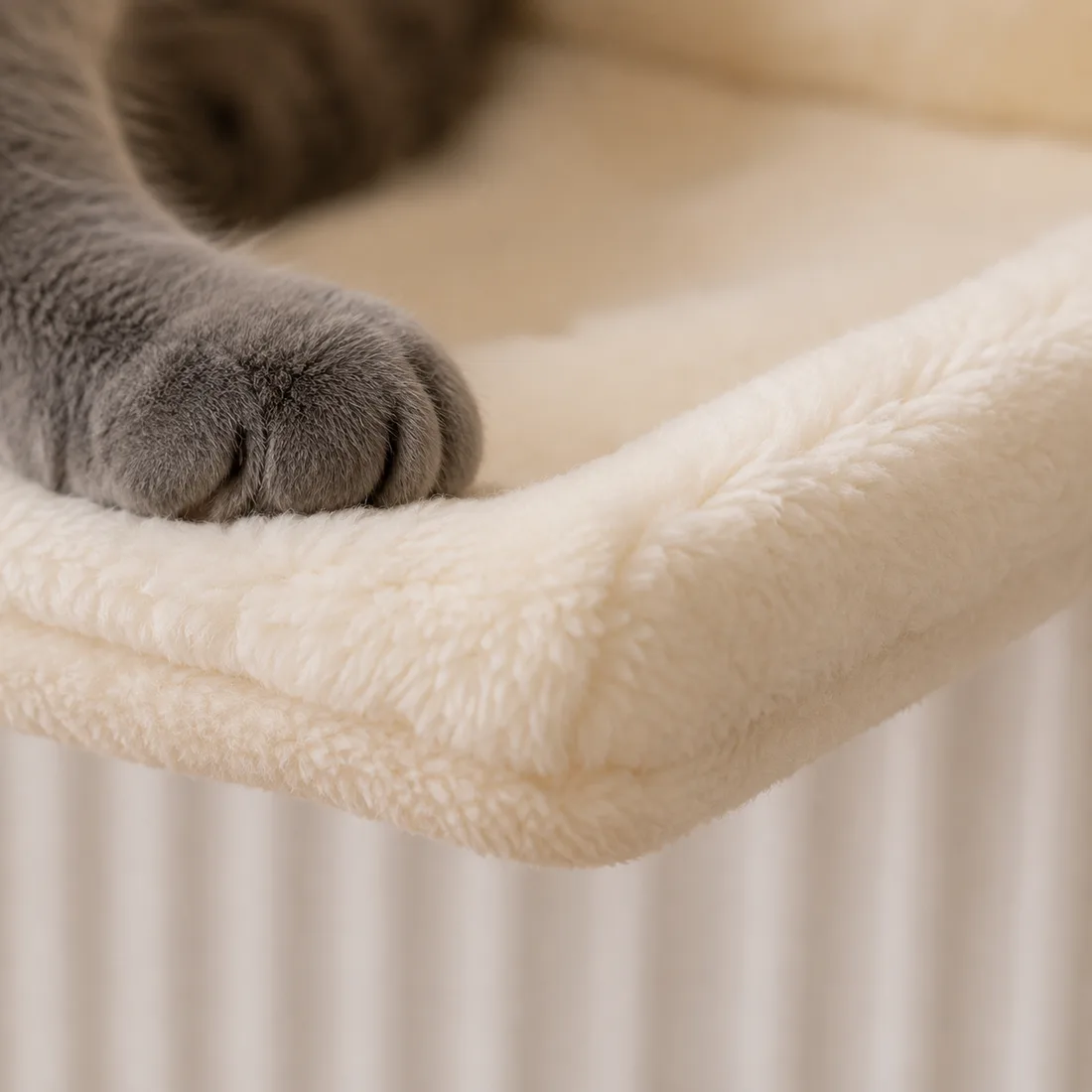 Close-up of the front edge of the cream bed: perimeter stitching, thickness of the plush, one gray paw resting on it